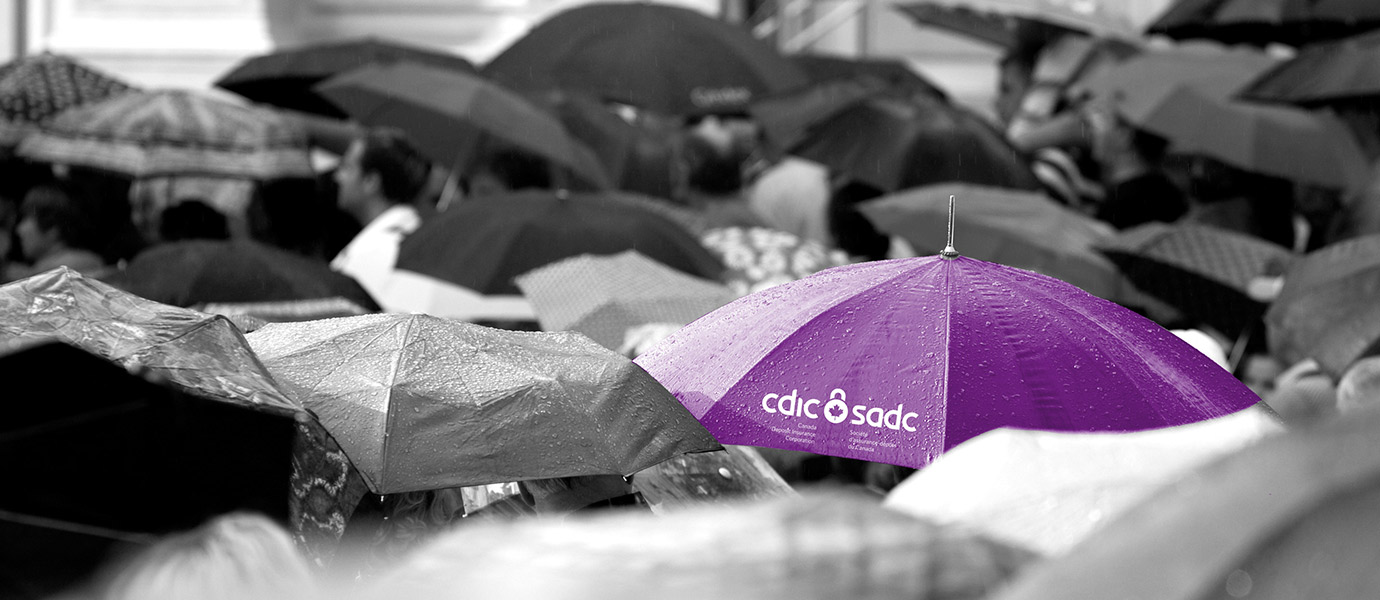 A purple umbrella with the CDIC / SADC logo on it