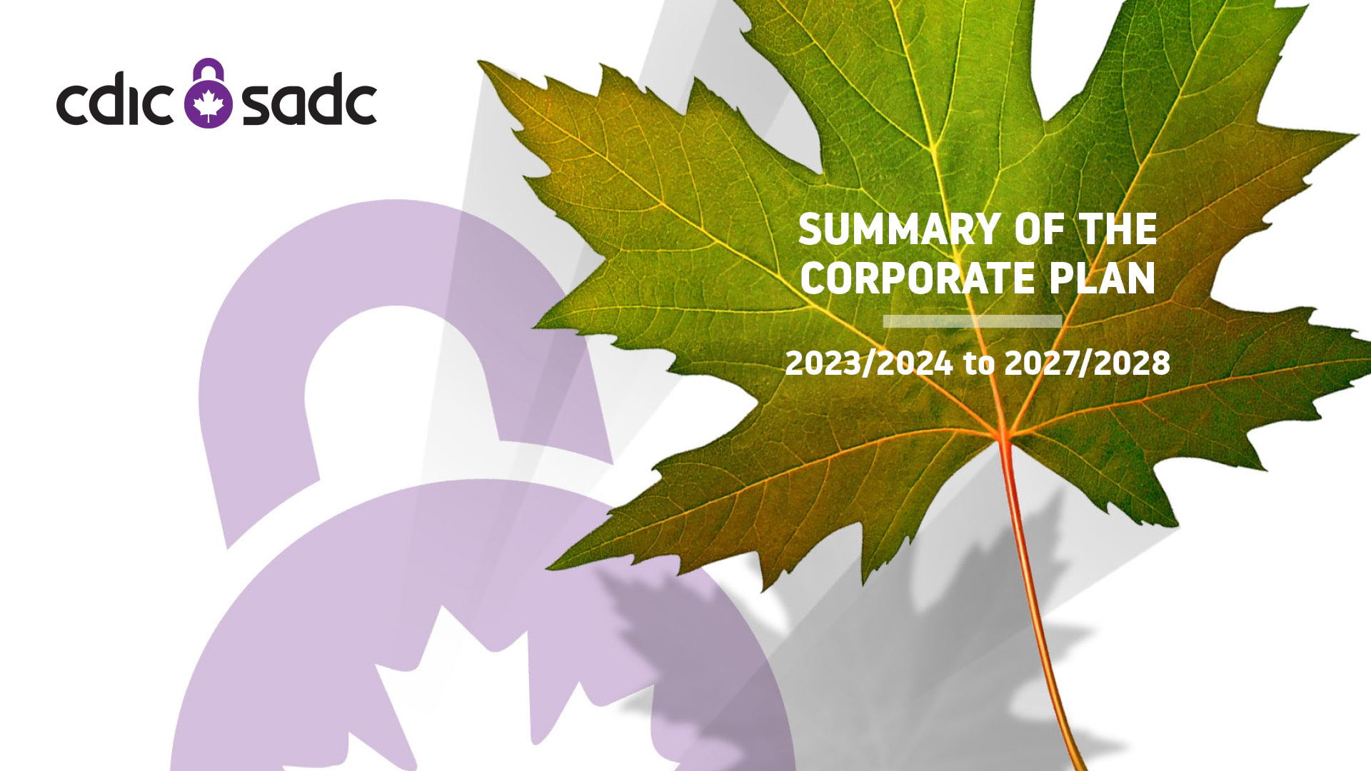 Summary of the Corporate Plan 2023/2024 to 2027/2028